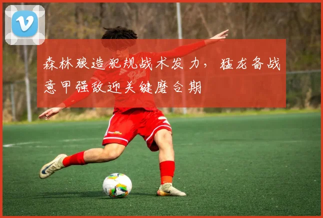 森林狼造犯规战术发力,猛龙备战意